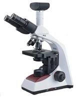 BS microscope