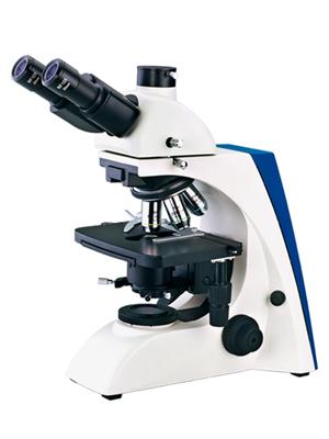 BM microscope