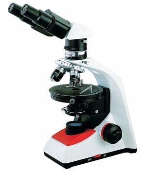 BS203ip microscope